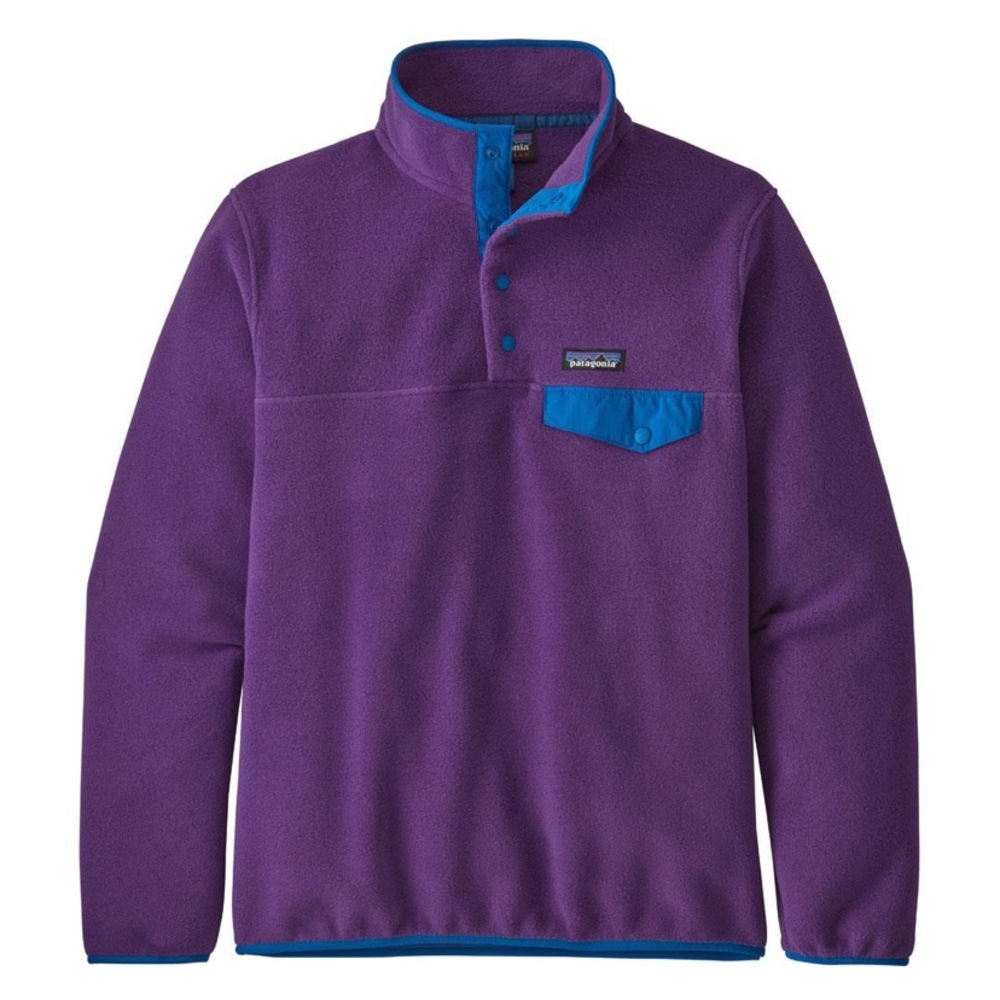 Patagonia Lightweight Synchilla Snap-T Fleece